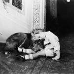 The Great British Pet Massacre: One Of The Saddest Tragedies Of 1939