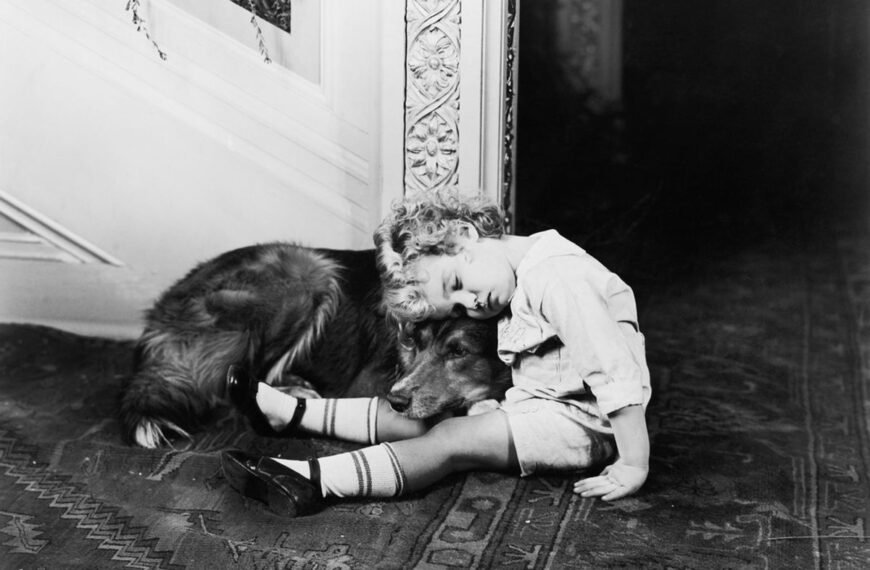 The Great British Pet Massacre: One Of The Saddest Tragedies Of 1939
