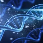 Whole Genome Sequencing Evidence Allowed In Gilgo Beach Serial Killer Case, A First For New York Courts