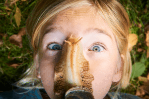 The World’s Largest Snails Keep Taking Over US&hellip;