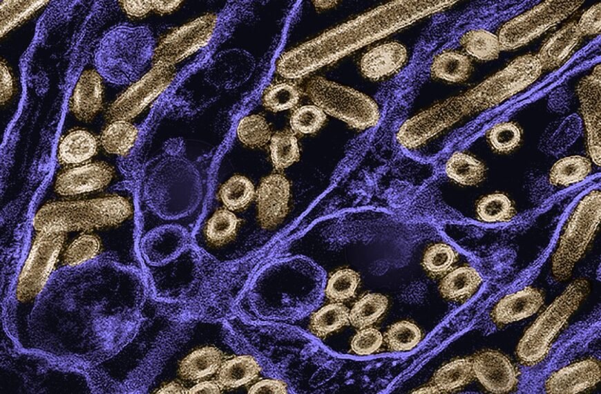 With A New Drug Cocktail, Scientists May Have Finally Found Flu’s Universal Weak Spot