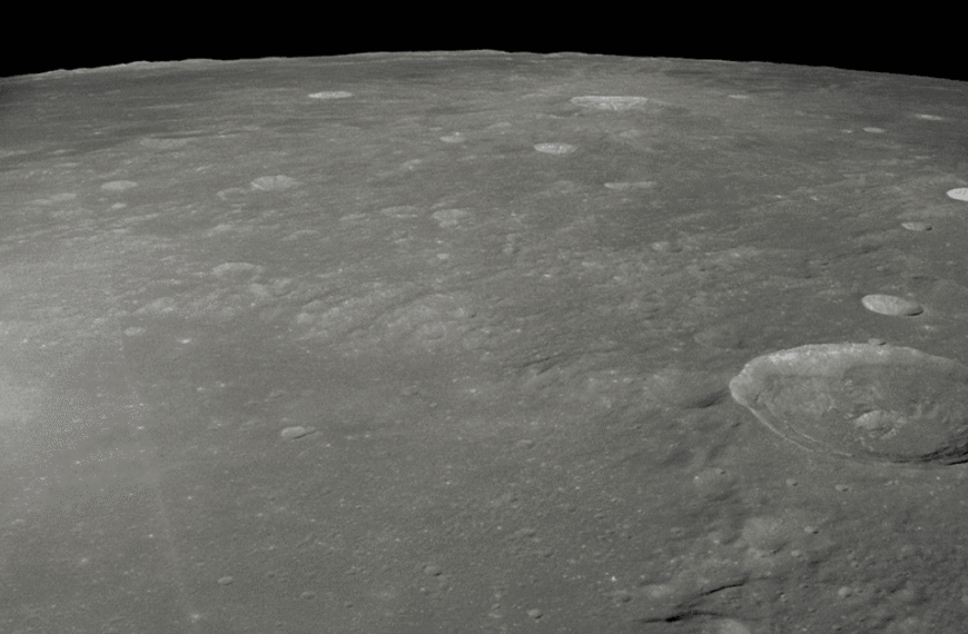 Zond 5: In 1968 Two Soviet Steppe Tortoises&hellip;