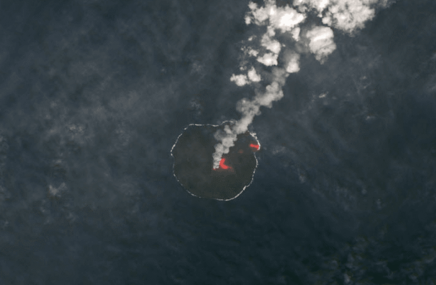 In 2013, A Volcanic Eruption Wiped Out Life On This Remote Island. Then, Somehow, Plants Reemerged