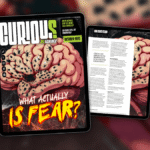 What Actually Is Fear? Find Out More In Issue 39 Of CURIOUS – Out Now