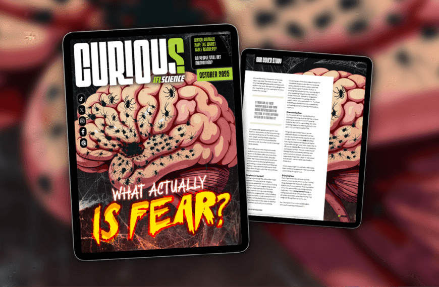 What Actually Is Fear? Find Out More In…