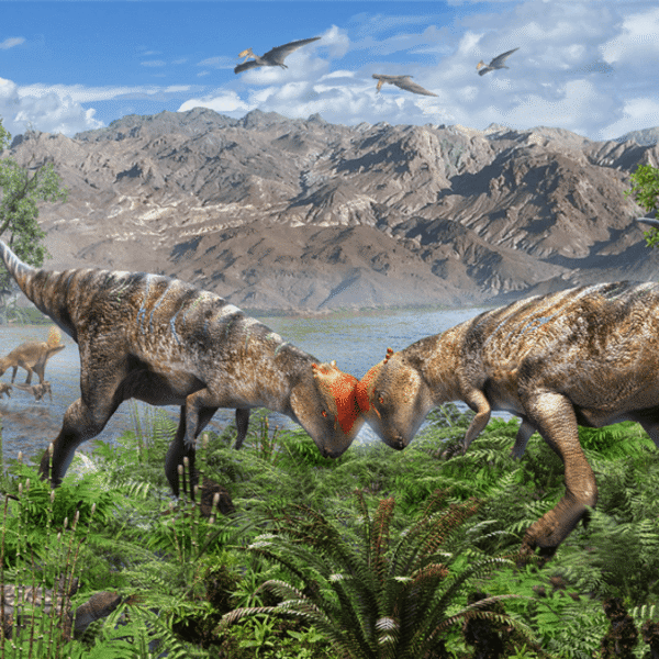 World’s Oldest Pachycephalosaur Fossil Pushes Back These Dinosaurs’&hellip;