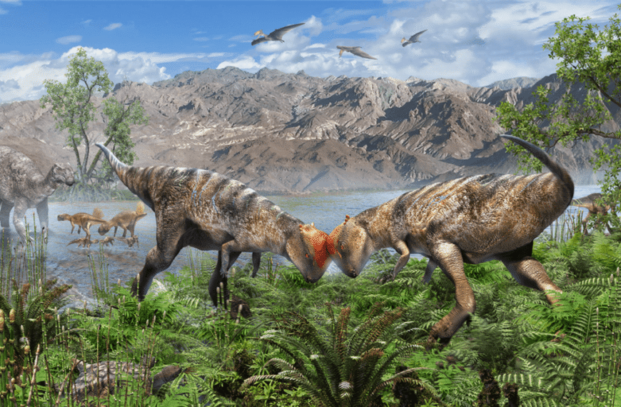 World’s Oldest Pachycephalosaur Fossil Pushes Back These Dinosaurs’&hellip;