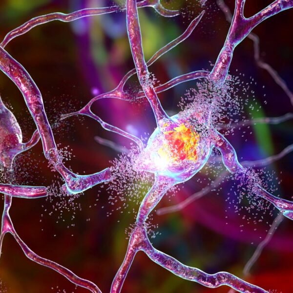 First-Ever Successful Huntington’s Disease Treatment Slows Progression By&hellip;