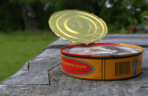 Surströmming: Why Sweden’s Stinky Fermented Fish Smells So…