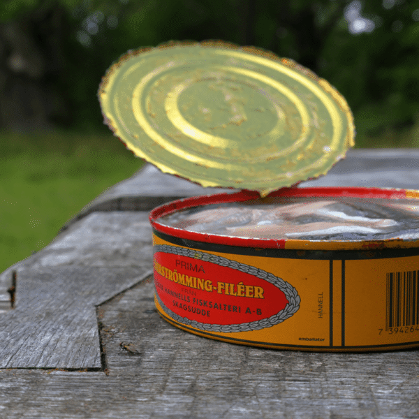 Surströmming: Why Sweden’s Stinky Fermented Fish Smells So&hellip;