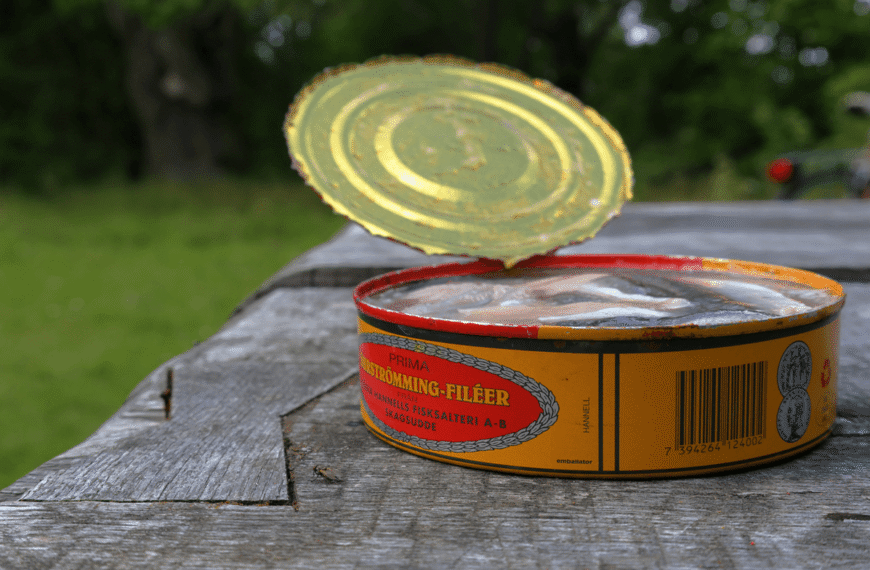 Surströmming: Why Sweden’s Stinky Fermented Fish Smells So Bad (But People Still Eat It)
