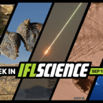 The First Humans Were Hunted By Leopards, Scientists Have No Clue What These Marine “Y-Larvae” Grow Into, And Much More This Week