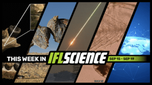 The First Humans Were Hunted By Leopards, Scientists…
