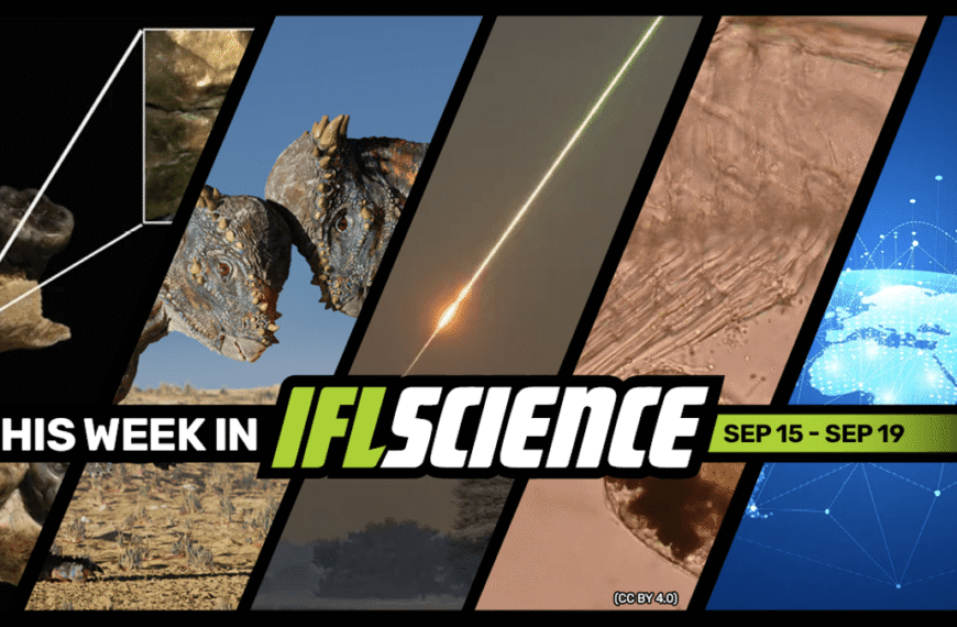 The First Humans Were Hunted By Leopards, Scientists Have No Clue What These Marine “Y-Larvae” Grow Into, And Much More This Week