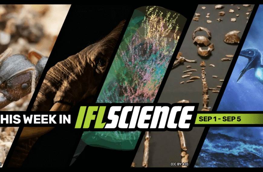 Queen Ant Produces Babies Of 2 Different Species, For The First Time Ever We Have A Complete Map Of Brain Activity, And Much More This Week