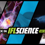 Homo Sapiens’ Origins Pushed Back 400,000 Years, First-Ever Successful Huntington’s Disease Treatment, And Much More This Week