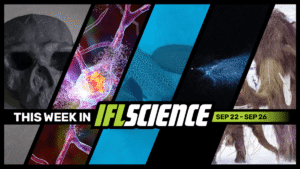 Homo Sapiens’ Origins Pushed Back 400,000 Years, First-Ever&hellip;