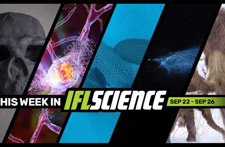 Homo Sapiens’ Origins Pushed Back 400,000 Years, First-Ever…