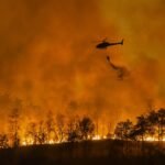 The Wildfire Paradox Affecting 440 Million People Has As Worrying A Solution As You’d Expect