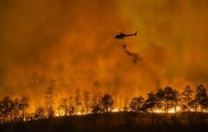 The Wildfire Paradox Affecting 440 Million People Has&hellip;