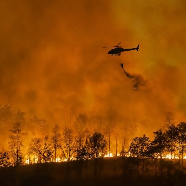 The Wildfire Paradox Affecting 440 Million People Has&hellip;