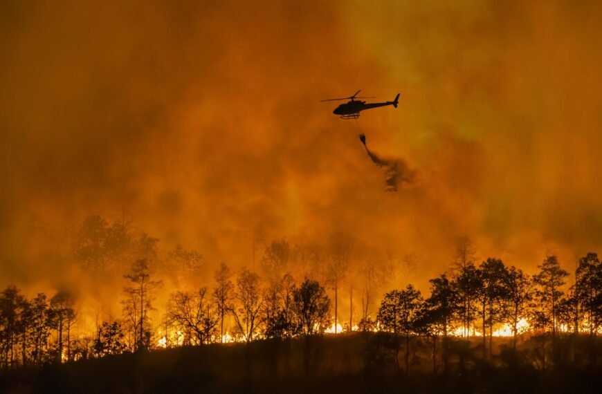 The Wildfire Paradox Affecting 440 Million People Has As Worrying A Solution As You’d Expect