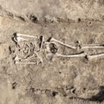 Pioneering “Pregnancy Test” Could Identify Hormones In Skeletons Over 1,000 Years Old