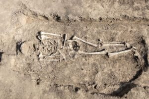 Pioneering “Pregnancy Test” Could Identify Hormones In Skeletons&hellip;