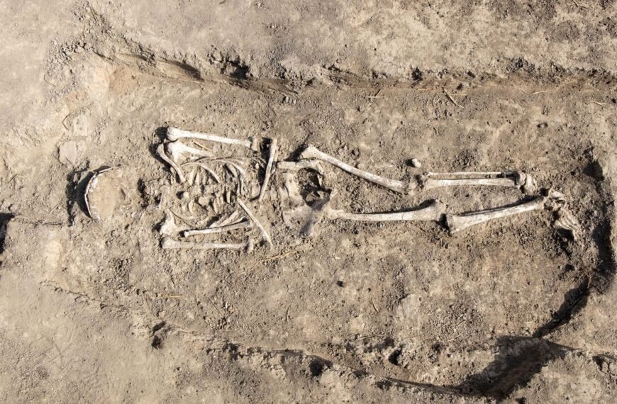 Pioneering “Pregnancy Test” Could Identify Hormones In Skeletons Over 1,000 Years Old