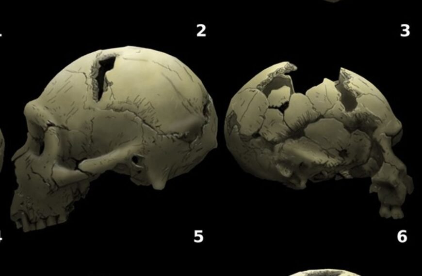 Rare 2-Million-Year-Old Infant Facial Fossils Expand What We Know About Prehistoric Human Children
