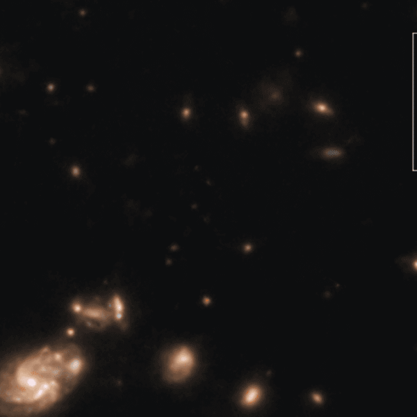 Mysterious JWST Object “Capotauro” Might Be The First…