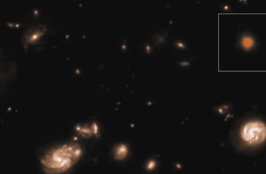 Mysterious JWST Object “Capotauro” Might Be The First…
