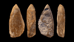 42,000-Year-Old Yellow Crayon Suggests Neanderthals Created Art –…