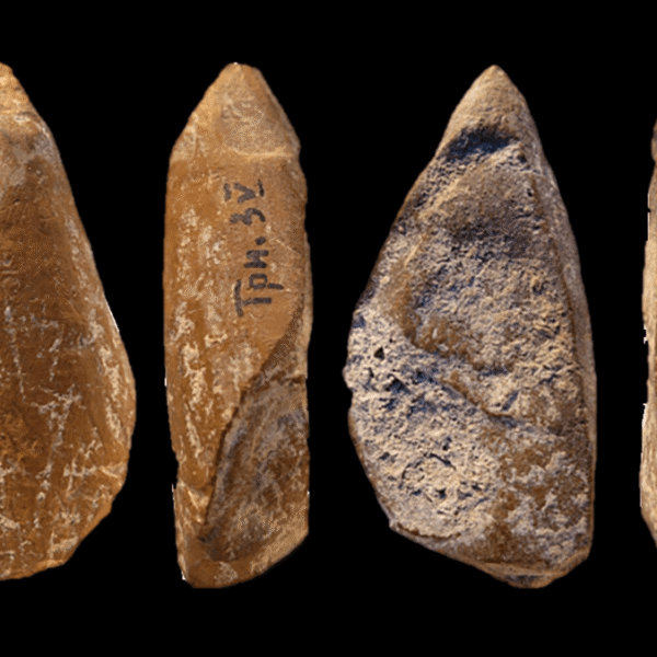 42,000-Year-Old Yellow Crayon Suggests Neanderthals Created Art –&hellip;
