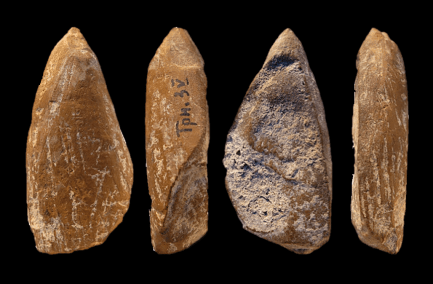 42,000-Year-Old Yellow Crayon Suggests Neanderthals Created Art – And It’s Still Sharp Too