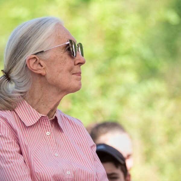 Jane Goodall, Pioneering Scientist Who First Discovered Tool-Use&hellip;