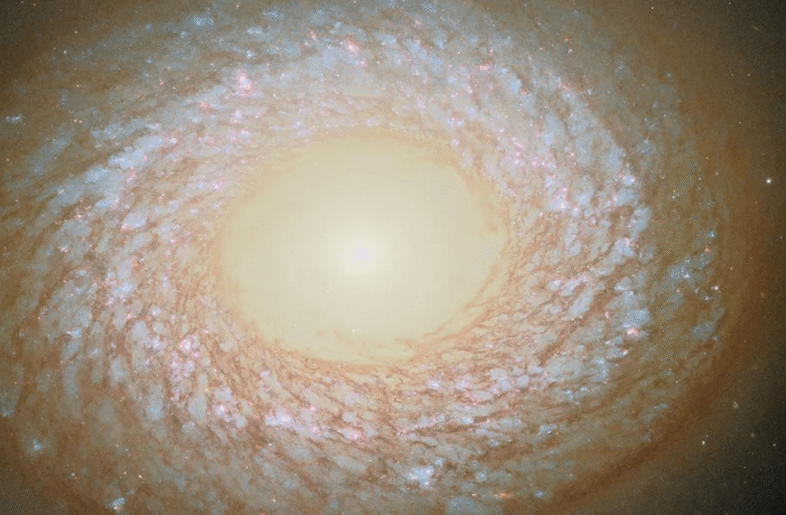 NGC 2775: This Galaxy Breaks The Rules Of “Galactic Evolution” And Baffles Astronomers