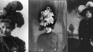 Birds, Hats, And Boycotts: The Story Behind Why…