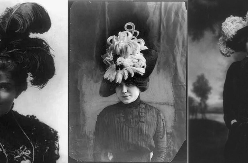 Birds, Hats, And Boycotts: The Story Behind Why It’s A Crime To Collect Feathers