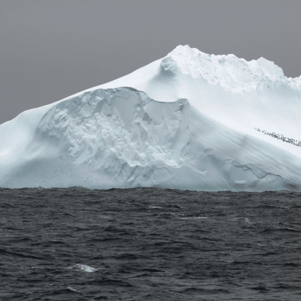 Biggest Ocean Current On Earth Is Set To&hellip;