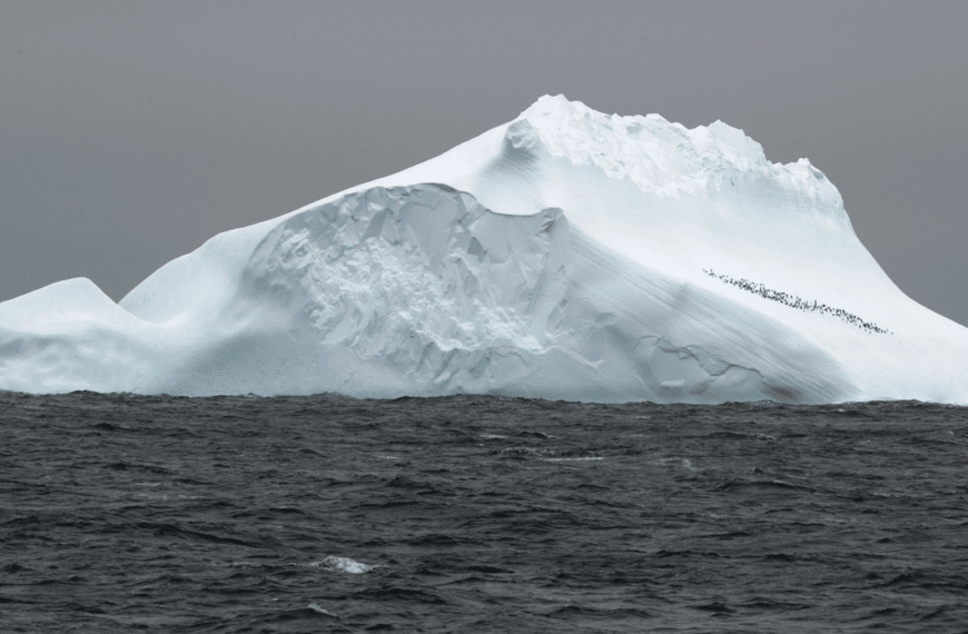 Biggest Ocean Current On Earth Is Set To Shift, Spelling Huge Changes For Ecosystems