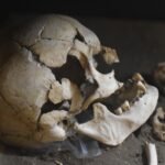 This Is One Of The Only Groups Of People Outside Africa Who Had Virtually No Denisovan DNA