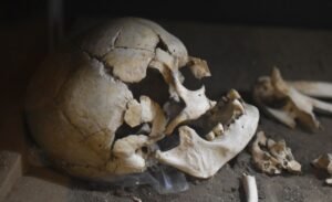 This Is One Of The Only Groups Of…