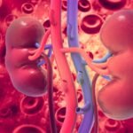 Kidney Blood Type Changed From A To O Before Transplant, Bringing Universal Organs A Step Closer