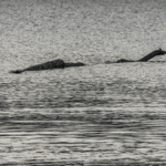 The History Of The Loch Ness Monster – And The Theories On What It Could Have Been