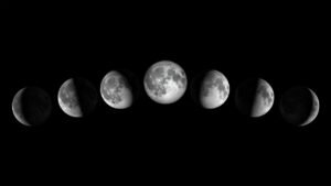 Does The Moon Affect The Menstrual Cycle? Yes,&hellip;