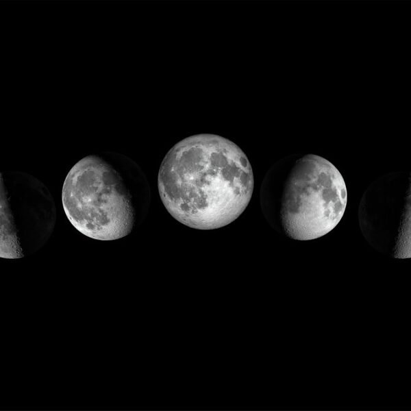 Does The Moon Affect The Menstrual Cycle? Yes,&hellip;
