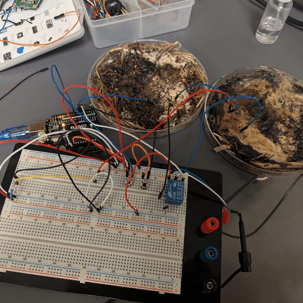 Mushrooms Could Beat Metal For Large-Scale Memory Storage&hellip;