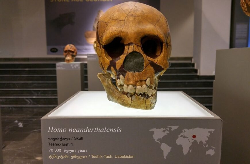 Human Hybrids May Have Been A Hidden Factor…