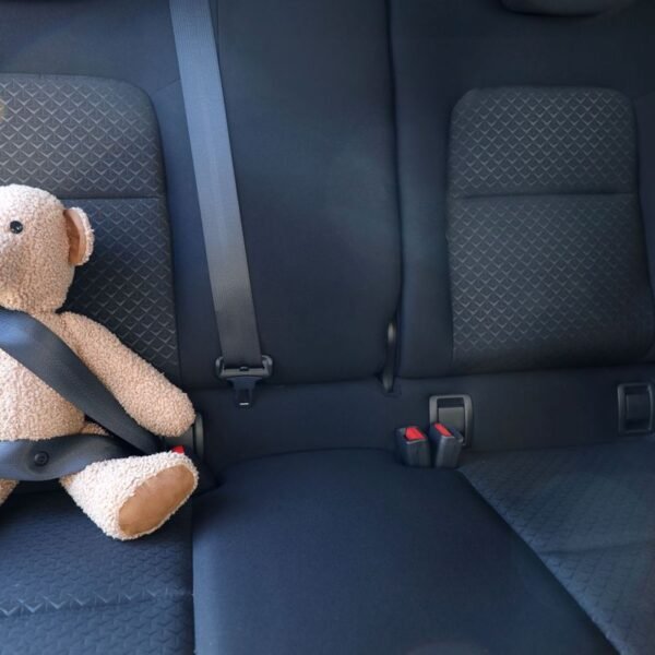 This Is The Safest Place To Sit In&hellip;